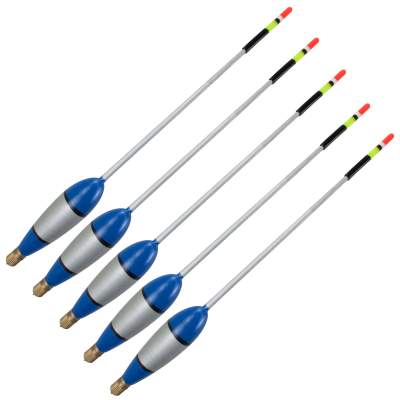 Posenset Profi Waggler 5 Stück 6+2g