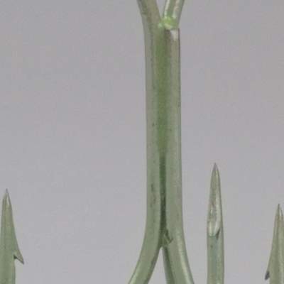 Seawaver Lures VMC-Drilling Permasteel 7/0 selbstleuchtend, incl. Sprengringe, 17mm selbstleuchtend - Gr.7/0 - TK145kg - 5Stück