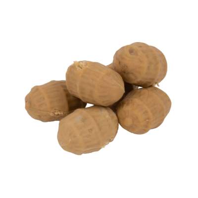 Tiger Nut Medium