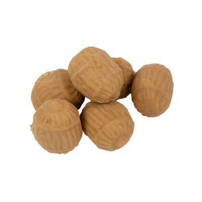 Faith Artificial PopUp Tiger Nut Large 6pcs - 6Stück