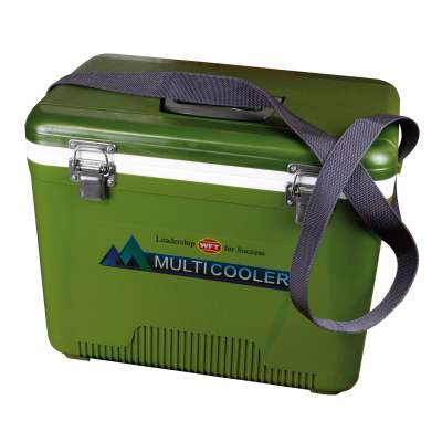 WFT Multicooler 12L green, 38x25x27cm - grün
