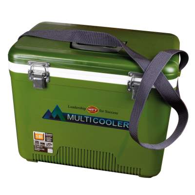 WFT Multicooler 18L green 42x28x33cm - grün