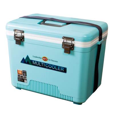 WFT Multicooler 18L blue 42x28x33cm - mint