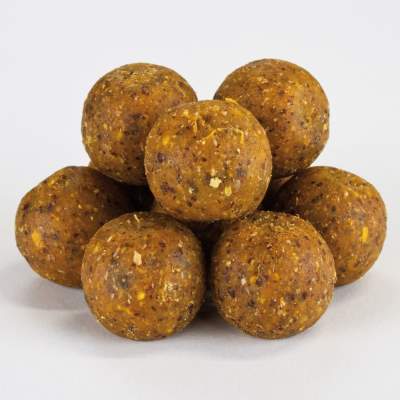 Tasty Baits Bucket Boilies 20mm Sessionpack Pop-Up + Dip 2,5kg Scopex,