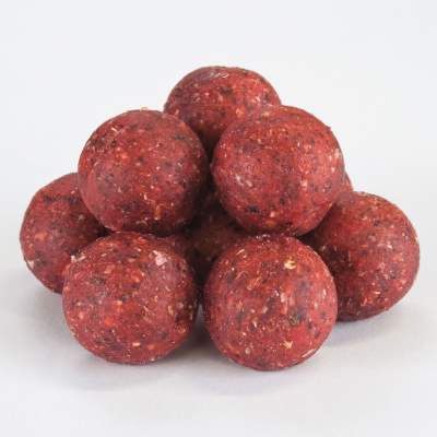 Tasty Baits Bucket Boilies 20mm Sessionpack Pop-Up + Dip 2,5kg BBQ Meat