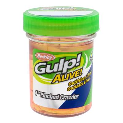 Berkley Gulp! Alive! 1 Pinched Crawler Chunky Cheese, - 2,5cm - Chunky Cheese - 2,1oz - 24Stück