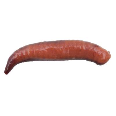 Berkley Gulp! Alive! 1 Pinched Crawler Nightcrawler 2,5cm - Nightcrawler - 2,1oz - 24Stück