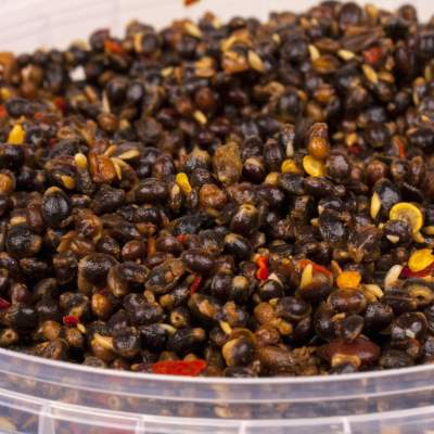 Crafty Catcher Prepared Particles Chilli Hemp - 1.1l