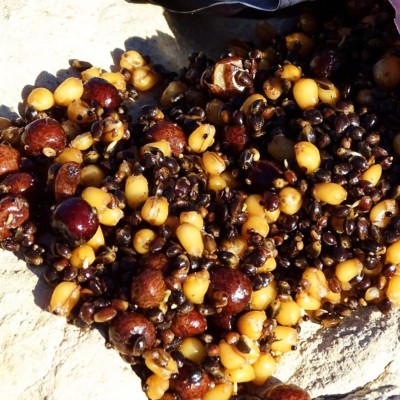 Crafty Catcher Prepared Particles Hemp Wheat & Maples