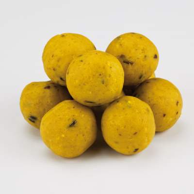 X2 Delicate Boilies Maize Cream 20mm 1Kg, Maize & Cream - 20mm - 1kg