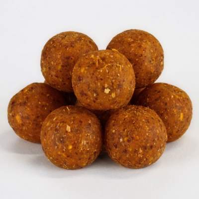 Tasty Baits Boilies 20mm 5kg Killer Krill,