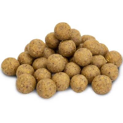 BAT-Tackle Böse Boilies im Realistric® Eimer 2,5 kg, 18mm, Creamwhite Choclate