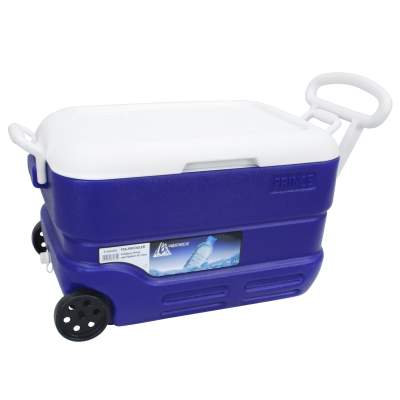 Waterside Polarcooler Kühlbox Driver mit Rädern 42 Liter,