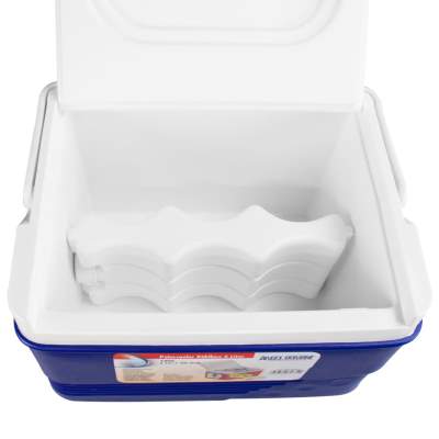 Waterside Polarcooler Kühlbox, 6 Liter