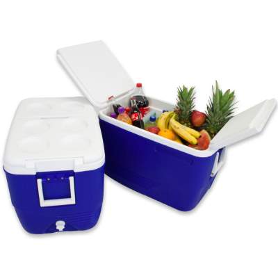 Waterside Polarcooler Kühlbox, 60 Liter