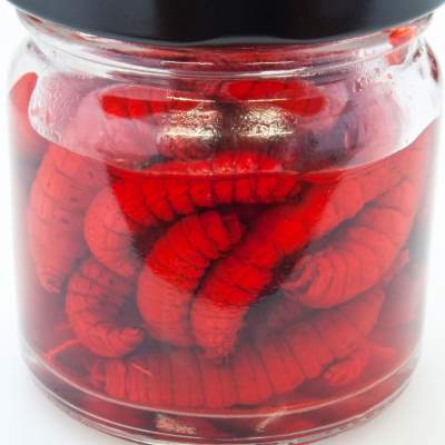LFT Leonard Fishing Tackle Forellen Bienenmaden Trout Mummies Red