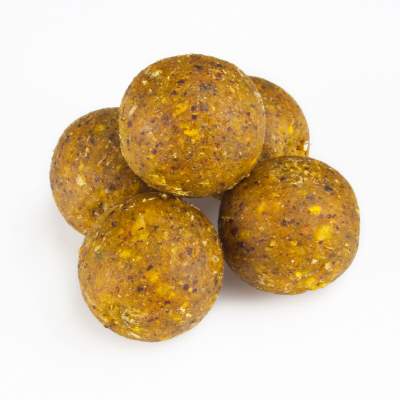 LFT Leonard Fishing Tackle Rookie Carp Boilies 20mm 1kg Scopex