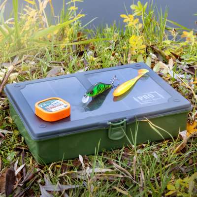 Pro Tackle Carp Tackle Box Sortimentsbox 27 x 20 x 5,5 cm - grün - 1Stück