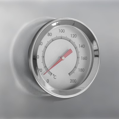 Eversmoke Räucherofen ‚Excellent II Medium‘ medium - 44x28x80,5cm - 1Stück mit Scheibe incl Thermometer