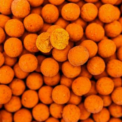 Pro line Readymades - Boilies Garlic & Robin Red - rot-braun - 1kg - 20mm