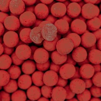 Pro line Readymades Pop-Ups Boilies Garlic & Robin Red - rot-braun - 200ml - 15mm