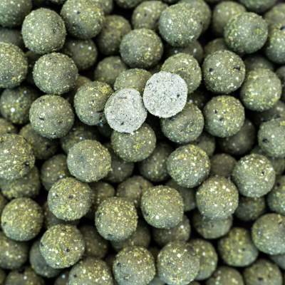 Pro line Readymades Boilies The NG Squid - grün - 1kg - 15mm