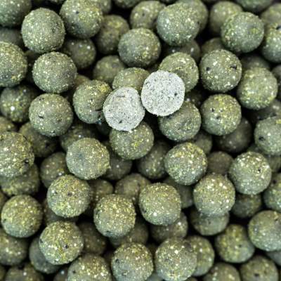 Pro line Readymades - Boilies The NG Squid - grün - 1kg - 15mm
