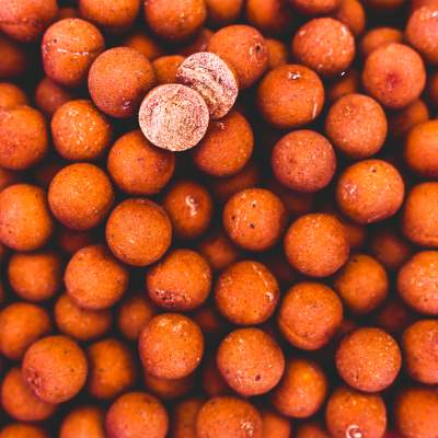 Pro line Readymades Boilies Magic Mango - orange - 0,5kg - 12mm