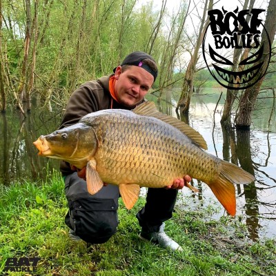 BAT-Tackle Böse Boilies 500g - 18mm - Squid - black