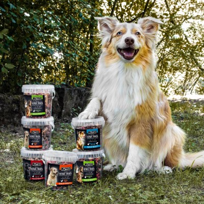 PÄTSO Hunde Snack 3er Pack Trainingssnack 500g - Huhn + Lachs - Soft Bone