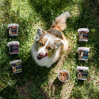 PÄTSO Hunde Snack Trainingssnack 500g - Huhn + Lachs - Soft Bone