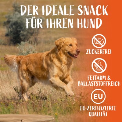 PÄTSO Hunde Kaustange 16 Stück - Huhn