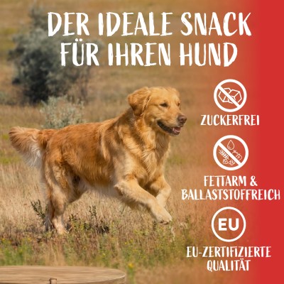 PÄTSO Hunde Kaustange 16 Stück - Rind