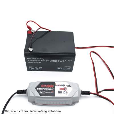 DLT CT-2000 12V Vollautomatisches Batterieladegerät,