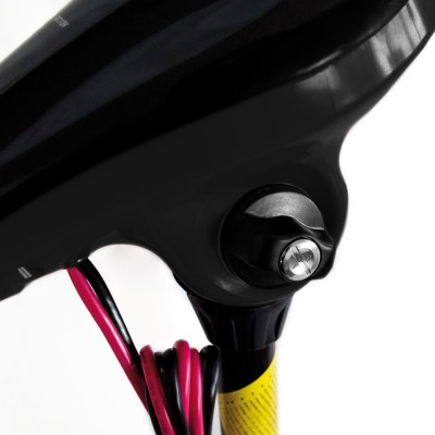 Elektro- Bootsmotor / Aussenborder Lynx 12 V - 50 lbs