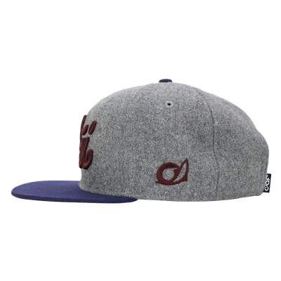 Dicht am Fisch Petri Cap Gray Maroon