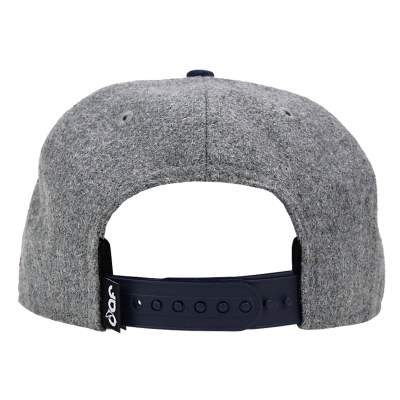 Dicht am Fisch Petri Cap Gray Maroon,