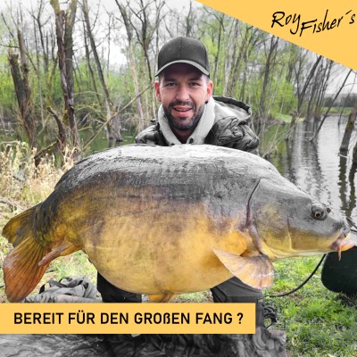 Roy Fishers Camou 3-fach Futteral, 145cm