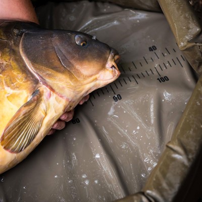 Fox Carpmaster Welded Mat - Abhakmatte 115x65cm - 1 Stück