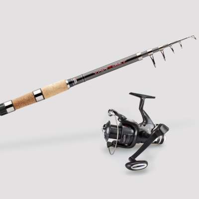 ABU Garcia Tele Pike Set 330,