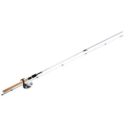 ABU Garcia Silvermax Combo 30,