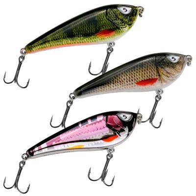 Perch, Roach & Purple Scale