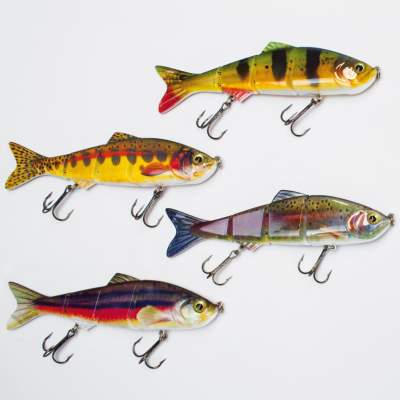 Senshu Big DC Real Swimbait 4er Pack sortiert