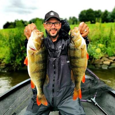 Viper Pro Team Fishing Brothers Crankbaitbox Limited Edition 5 Wobbler - versch. Farben - versch. Lauftiefen