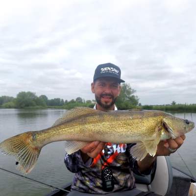 Viper Pro Team Fishing Brothers Crankbaitbox Limited Edition 5 Wobbler - versch. Farben - versch. Lauftiefen