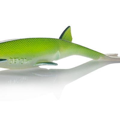 Senshu Pelaga Shad + Head Set, 16cm - Green Sprat