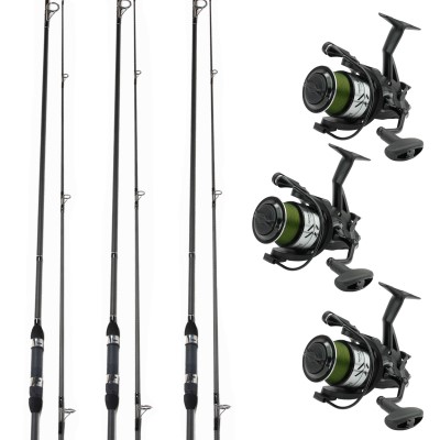 Karpfenrutenset The CORE - Angelset 12 - 2,75-3 lbs - 2 tlg