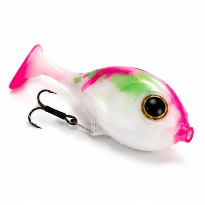 DLT PowerOrb Inline - Gummifisch 6cm - 10g - 5 Stück - inkl. Tacklebox
