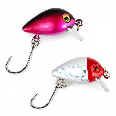 Troutlook Mini Lure Set - Wobblerset 10 Stück - Einzelhaken