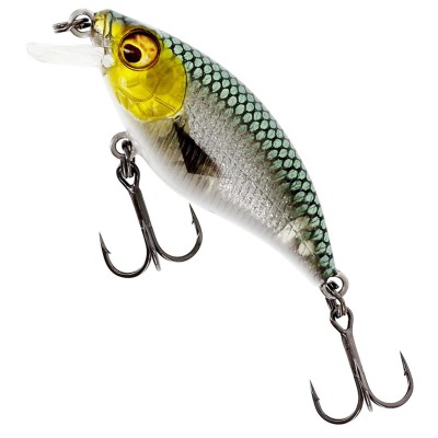 Westin Buzzbite SR - Crankbait 3D Headlight - 4cm - 4g - 1 Stück
